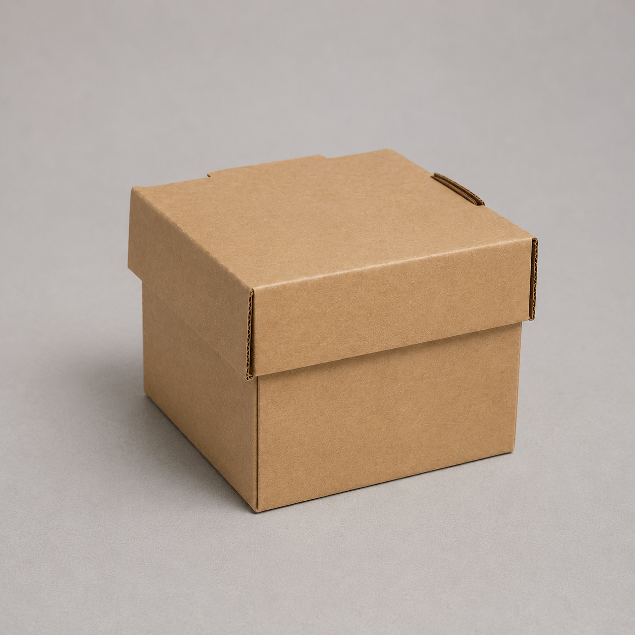 Kraft Burger Box (Pack of 100)